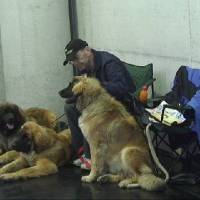 Salzburg Clubschau Mai 06 234 